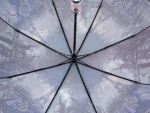 Зонт женский Diniya, арт.967_product