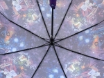 Зонт женский Diniya, арт.967-3_product