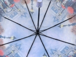 Зонт женский Diniya, арт.969-5_product