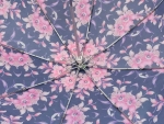 Зонт женский Monsoon, арт.8019_product
