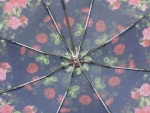 Зонт женский Monsoon, арт.8019-5_product