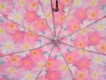 Зонт женский Monsoon, арт.8019-7_product