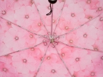 Зонт женский Monsoon, арт.8019-10_product