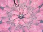 Зонт женский Monsoon, арт.8019-11_product