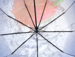 Зонт  женский Robin, арт.3011-3_product