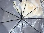 Зонт  женский Robin, арт.3011-4_product