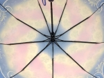 Зонт женский Zicco, арт.2305_product