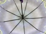 Зонт женский Zicco, арт.2305-2_product