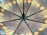 Зонт женский Rain Brella, арт.190-2_product