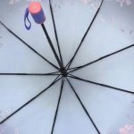 Зонт  женский Popular , арт.2019-1_product