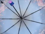 Зонт  женский Popular , арт.2019-2_product