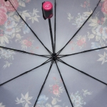 Зонт  женский Popular , арт.2019-3_product