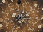 Зонт женский Airton, арт.3955 6_product