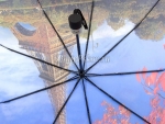 Зонт женский Amico, арт.5652_product