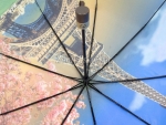 Зонт женский Amico, арт.5652 5_product