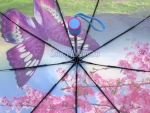 Зонт женский Amico, арт.6106_product