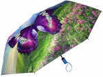Зонт женский Amico, арт.6106_product